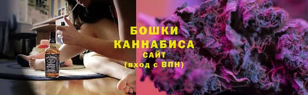 гидра Верхний Тагил