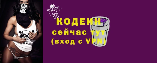 гидра Верхний Тагил