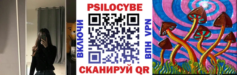 продажа наркотиков  кракен онион  Псилоцибиновые грибы Psilocybine cubensis  Дедовск 