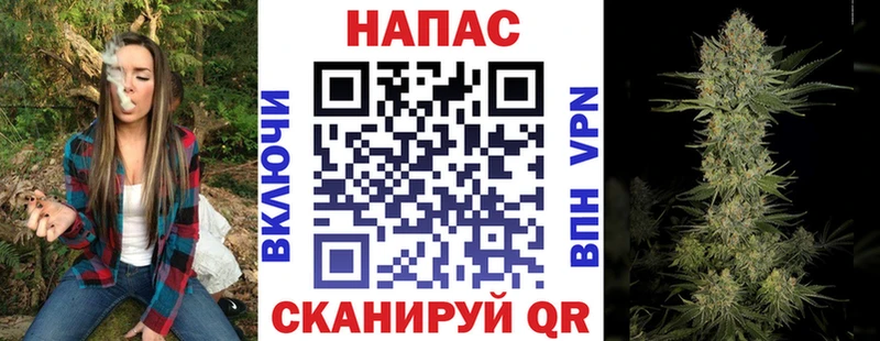 Бошки марихуана планчик где найти shop телеграм Дедовск